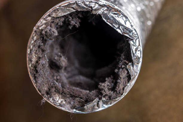 Best Air Vent Cleaning Services  in Lisbon Falls, ME